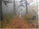 Spodnje Stranice (graves of hundred hostages) - Stolpnik